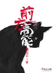 前方高能章节列表