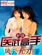 护花医武高手章节列表