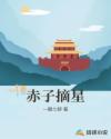 赤子摘星章节列表