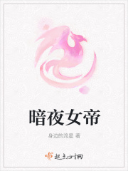 暗夜女帝章节列表