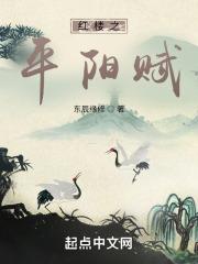 红楼之平阳赋章节列表