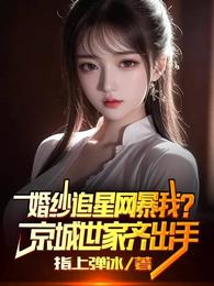 婚纱追星网暴我？京城世家齐出手章节列表
