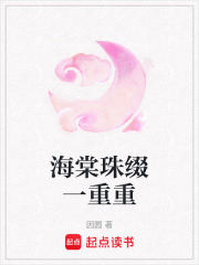 海棠珠缀一重重章节列表