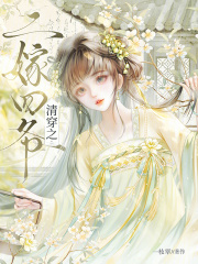 清穿之二嫁四爷章节列表
