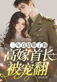 三年真情喂了狗，高嫁首长被宠翻章节列表