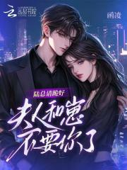 陆总请跪好，夫人和崽不要你了章节列表