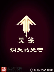 灵笼：消失的光芒章节列表
